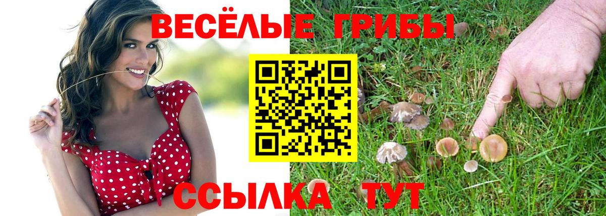 Псилоцибиновые грибы Magic Shrooms Тавда
