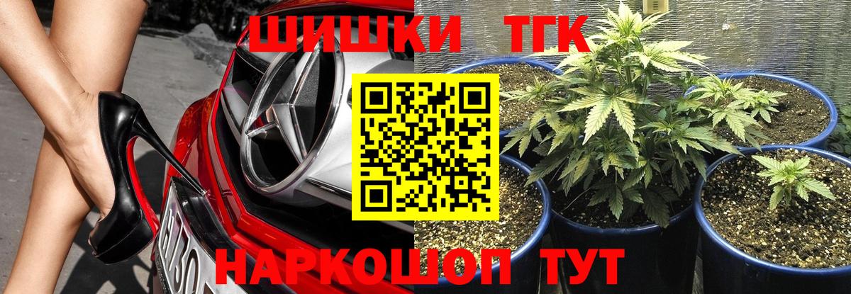 Каннабис индика Тавда